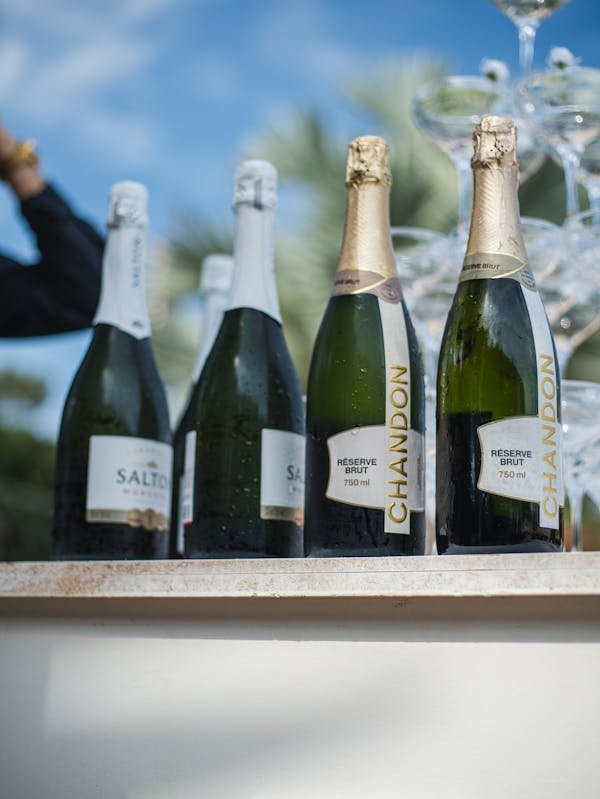 Achat de vins et champagnes en ligne : le meilleur choix bio